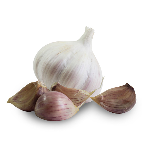 new onion